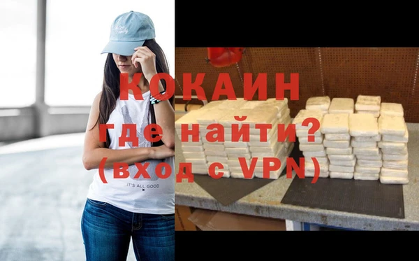 индика Армянск