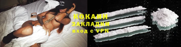 гашик Арсеньев