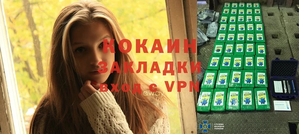 гашик Арсеньев