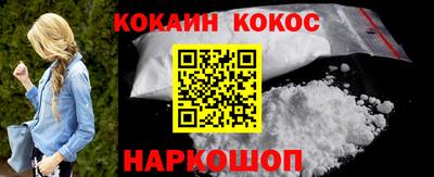 тгк Кингисепп