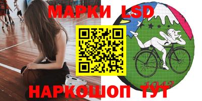 тгк Кингисепп