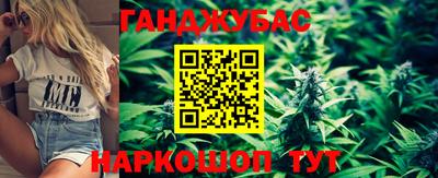 тгк Кингисепп