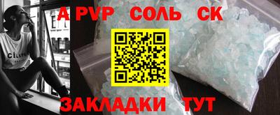тгк Кингисепп