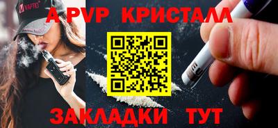 тгк Кингисепп