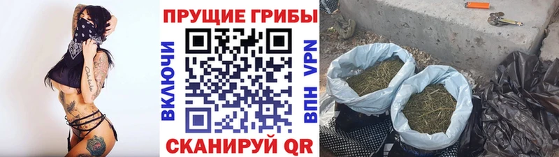 Псилоцибиновые грибы MAGIC MUSHROOMS  Лянтор 