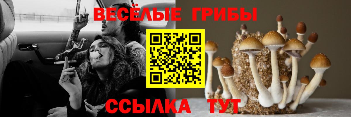 Псилоцибиновые грибы ЛСД  Вход с VPN  Лянтор 